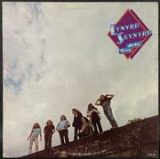 Lynyrd Skynyrd / Nuthin' Fancy