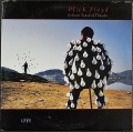 Pink Floyd ピンク・フロイド / Delicate Sound Of Thunder | US盤