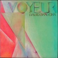 David Sanborn デイヴィッド・サンボーン / Voyeur