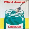 カシオペア Casiopea / Mint Jams