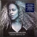 Cassandra Wilson カサンドラ・ウィルソン / Coming Forth By Day