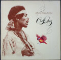 Jimi Hendrix ジミ・ヘンドリックス / Crash Landing