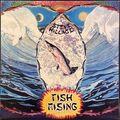 Steve Hillage スティーヴ・ヒレッジ / Fish Rising