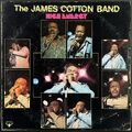 James Cotton Band / High Energy