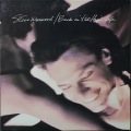Steve Winwood スティーブ・ウインウッド / Back In The High Life