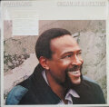 Marvin Gaye マーヴィン・ゲイ / Dream Of A Lifetime