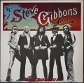 Steve Gibbons Band スティーブ・ギボンズ・バンド / Any Road Up