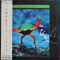 Vangelis ヴァンゲリス / Soil Festivities