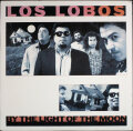 Los Lobos ロス・ロボス / By The Light Of The Moon