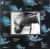 Bill Evans, Toots Thielemans / Affinity