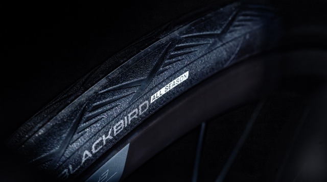 HUTCHINSON Blackbird All season (ハッチンソン ブラックバード