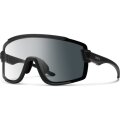 SMITH Wildcat（スミス ワイルドキャット ）Asia Fit Photochromic サングラス