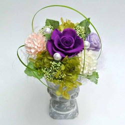 パール アメジスタ