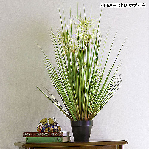 観葉植物の販売店 花育通販 人工観葉植物 サニーグラス Sサイズ を販売
