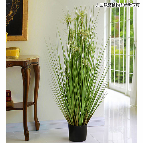 観葉植物の販売店 花育通販 人工観葉植物 サニーグラス Mサイズ を販売