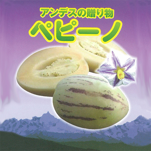 エキゾチックプランツの販売店【花育通販】熱帯植物ペピーノの苗を販売