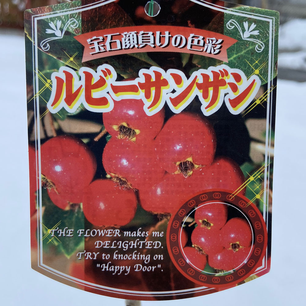 ルビーサンザシ
