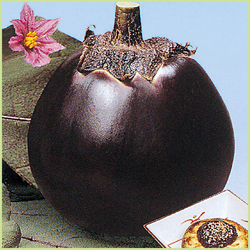 家庭菜園の茄子（なす・ナス）苗の販売店