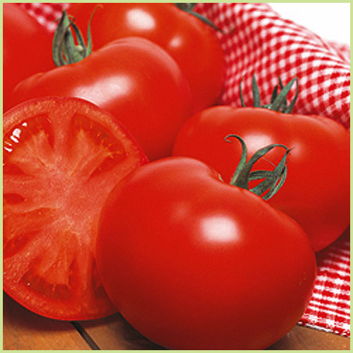 家庭菜園のミニトマト・トマト（とまと）苗の販売店