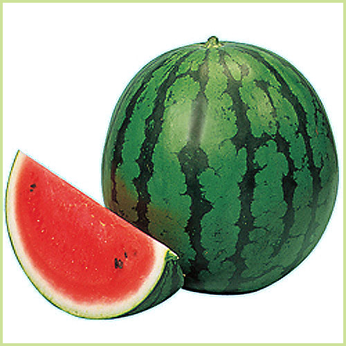 スイカ（西瓜）・メロンなど家庭菜園用の苗の販売店