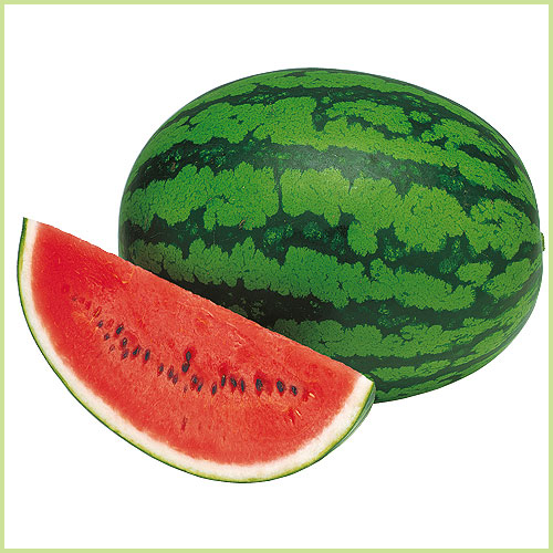 スイカ（すいか・西瓜）・メロンなど家庭菜園用の苗の販売店