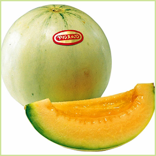 スイカ（すいか・西瓜）・メロンなど家庭菜園用の苗の販売店