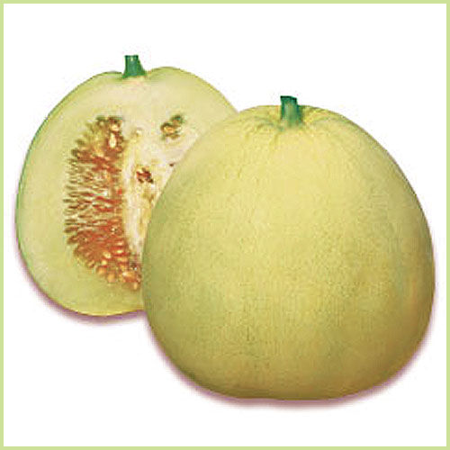 スイカ（すいか・西瓜）・メロンなど家庭菜園用の苗の販売店