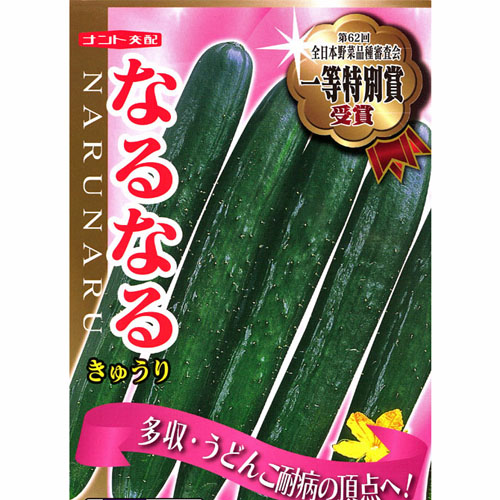 家庭菜園野菜苗の販売店【花育通販】キュウリ（きゅうり）の苗を販売