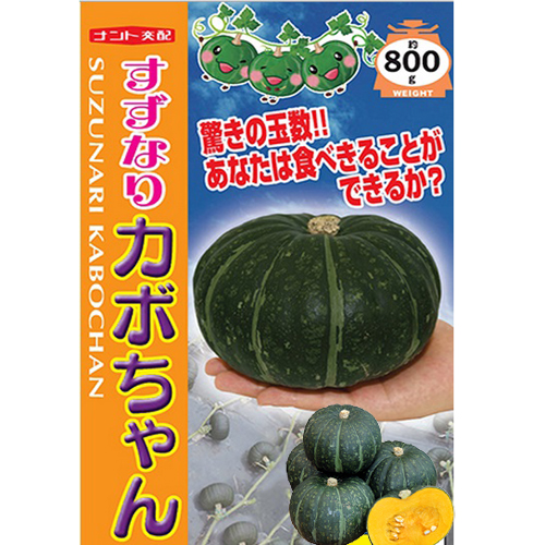 家庭菜園野菜苗の販売店【花育通販】南瓜（かぼちゃ・カボチャ）の苗を販売