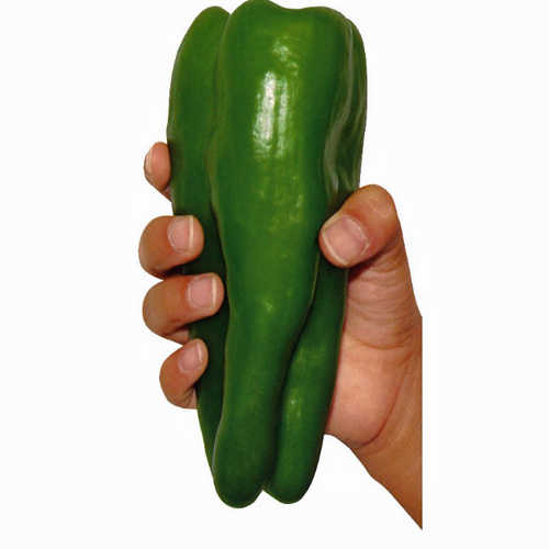 ジャンボピーマン　とんがりパワー