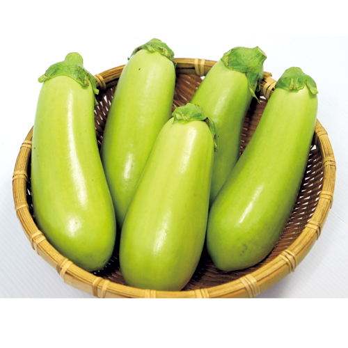 花育通販 茄子 ナス 緑なす 万寿満 の苗を販売