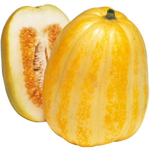 家庭菜園のマクワウリの種販売店【花育通販】