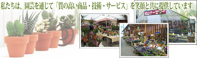 花苗・野菜苗の園芸お役立ちショップ「花育通販」