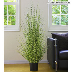 観葉植物の販売店 花育通販 人工観葉植物 ゼブラグラス Lサイズ を販売