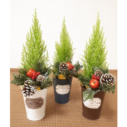 花育通販 エレガントクリスマスツリー ブリキ鉢入り を販売