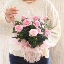 母の日のフラワーギフトなら 花育通販 母の日ギフト ミニバラ ジュエリーバスケット 6号を販売