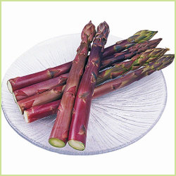 野菜苗 アスパラガス苗の販売店 花育通販 紫アスパラガス パープルタワーの苗を販売