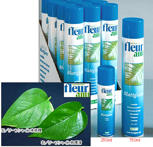 観葉植物（園芸用）の艶（ツヤ）出しスプレー