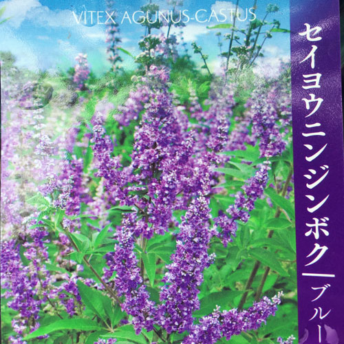 チョウセンニンジン木 チョウセンニンジン 苗 販売 苗木部 By 花ひろばオンライン