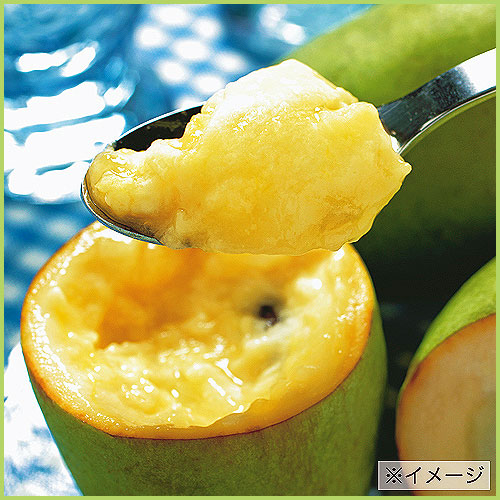 ポポー 苗木 おまけ付き セット売り