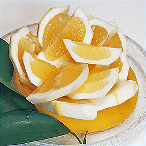 果樹苗木の販売店【花育通販】 柑橘類の苗木 日向夏を販売