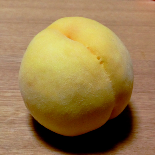 果樹苗木の販売店【花育通販】 桃（モモ・もも）苗木 黄金桃（おうごん