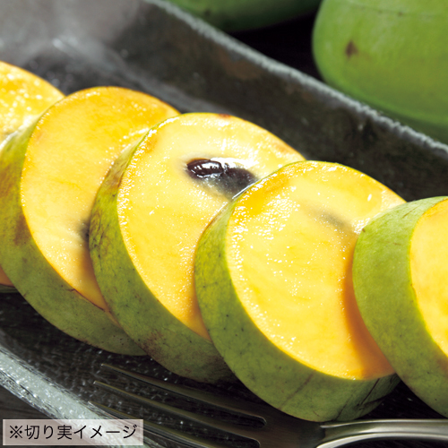 果樹苗木の販売店【花育通販】ポポー（ポーポー）苗木オーバーリースを販売