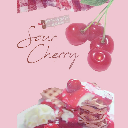 果樹園「花育通販」サクランボ苗木 サワーチェリー（酸果桜桃