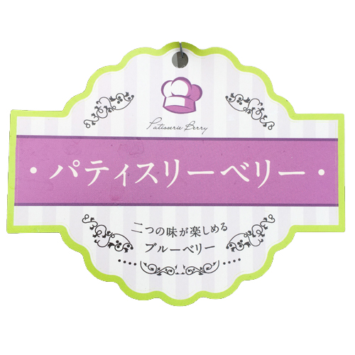 ブルーベリー苗木デュオ（2品種植え）パティスリーベリー