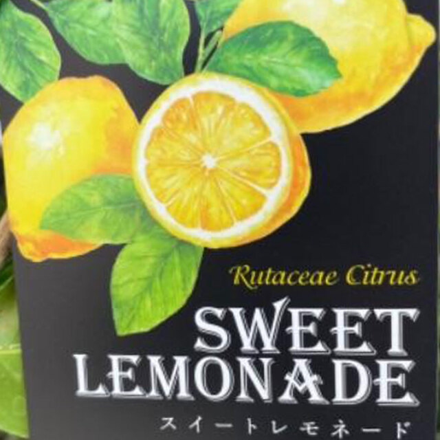 レモン苗木「スイートレモネード」を販売【花育通販】果樹苗販売店