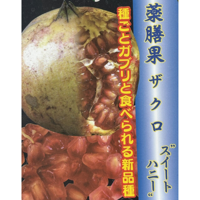 種なしザクロ　スイートハニー
