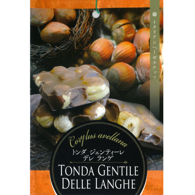 ヘーゼルナッツの苗木 トンダジェンティーレデレランゲ