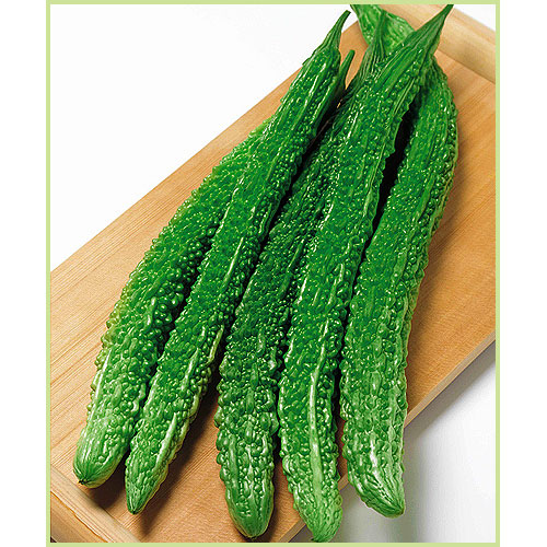 ゴーヤー（苦瓜・ニガウリ・レイシ）の苗など家庭菜園野菜の販売店