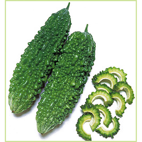 ゴーヤー（苦瓜・ニガウリ・レイシ）の苗など家庭菜園野菜の販売店